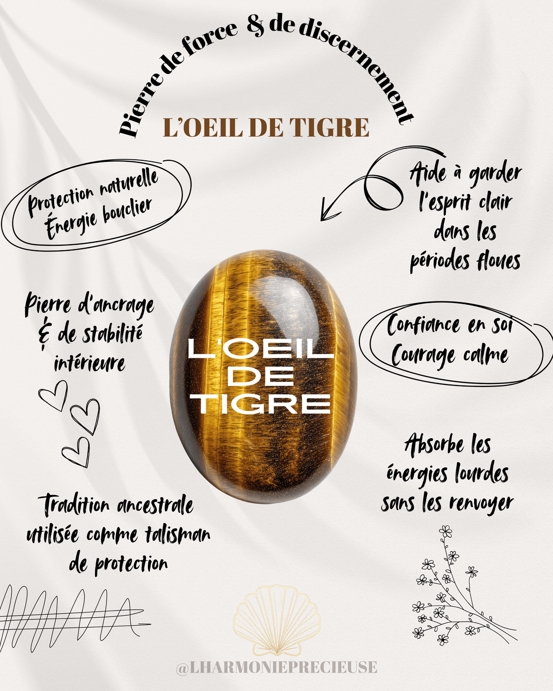 🐅 Oeil De Tigre - L'Harmonie Précieuse